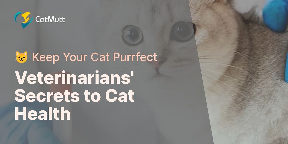 What do veterinarians for maintaining a cat's health?