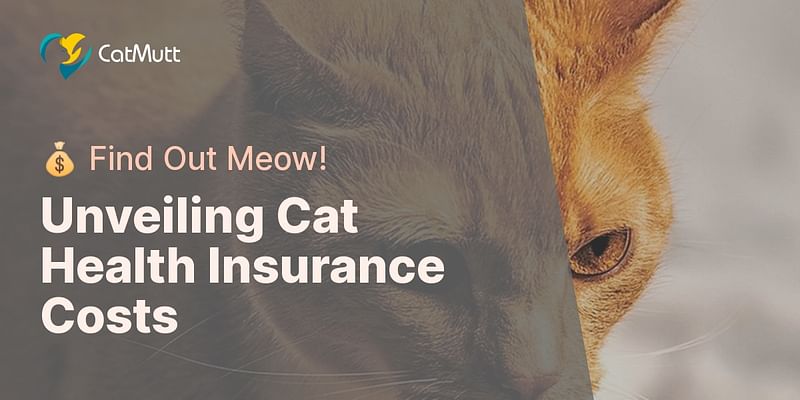 Unveiling Cat Health Insurance Costs - 💰 Find Out Meow!