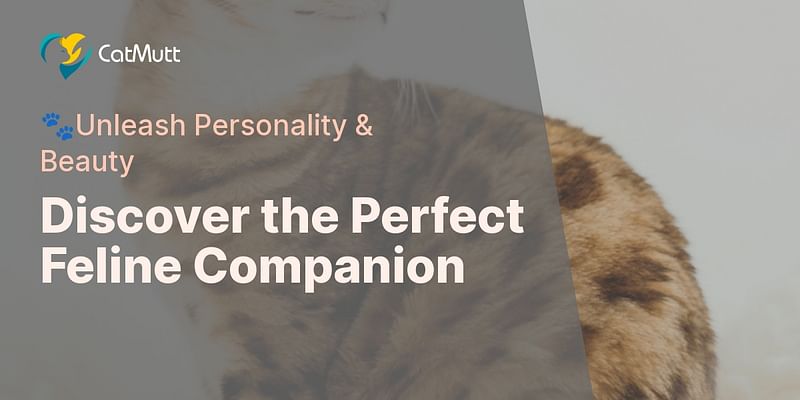 Discover the Perfect Feline Companion - 🐾Unleash Personality & Beauty