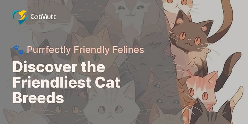 Discover the Friendliest Cat Breeds - 🐾 Purrfectly Friendly Felines