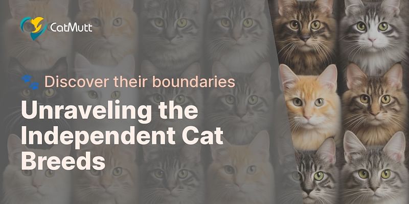 Unraveling the Independent Cat Breeds - 🐾 Discover their boundaries