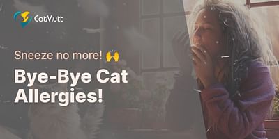 Bye-Bye Cat Allergies! - Sneeze no more! 🙌