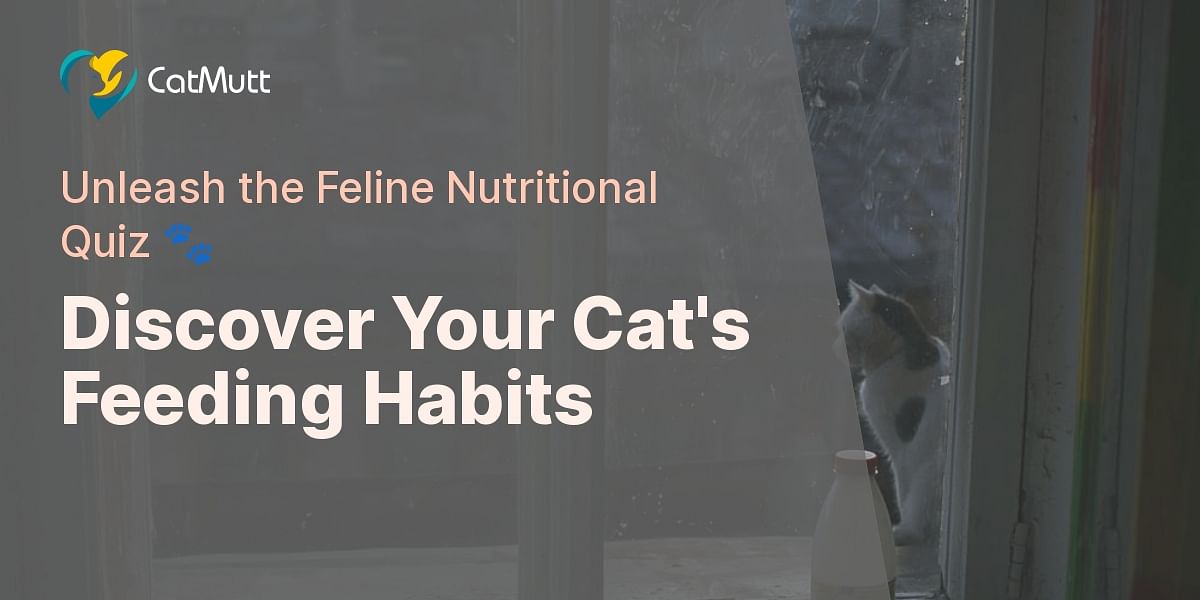 Cat Feeding Habits Quiz Test Your Knowledge on Cat Nutrition