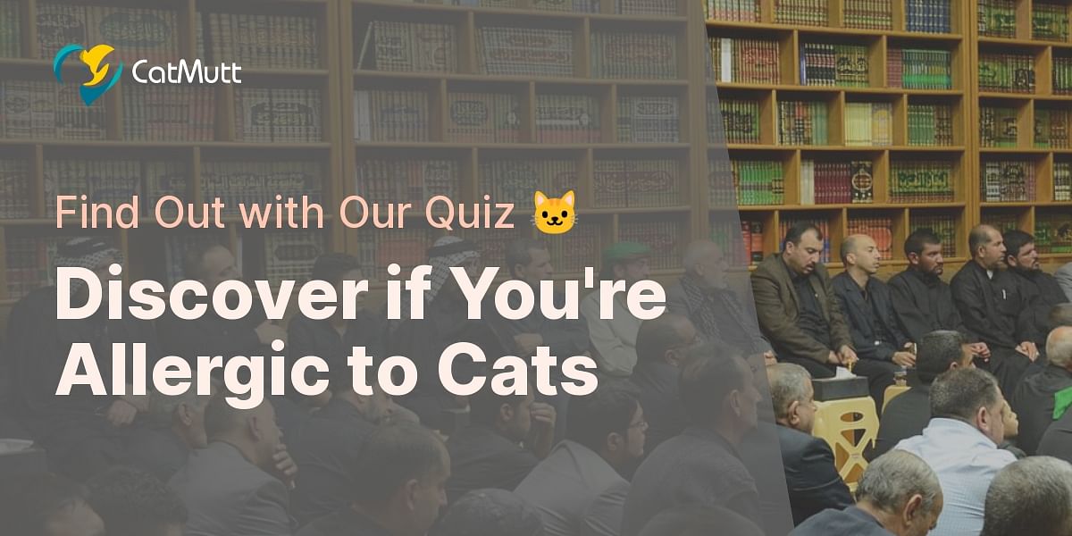 Recognizing Cat Allergy Symptoms Quiz Cat Mutt