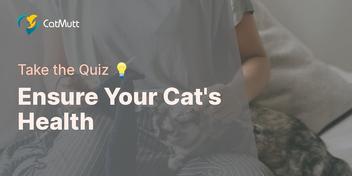 Take the Basic AtHome Cat Health Check Quiz Cat Mutt