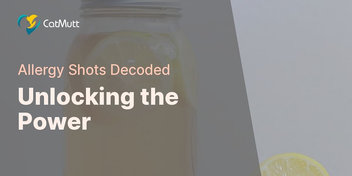 Understanding Allergy Shots Effectiveness in Treating Cat Allergies