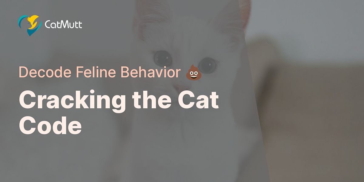 Understanding and Responding to Cat Behavior Changes Cat Mutt