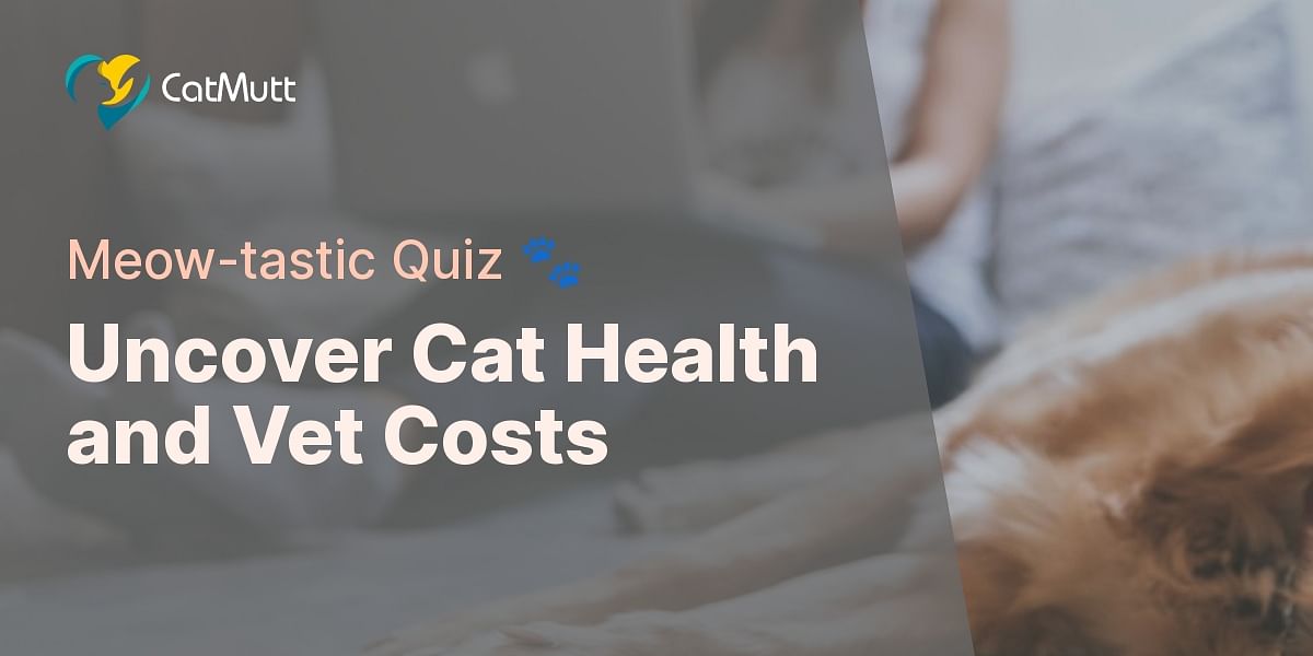 Understanding Cat Health and Vet Costs Take Our Quiz!