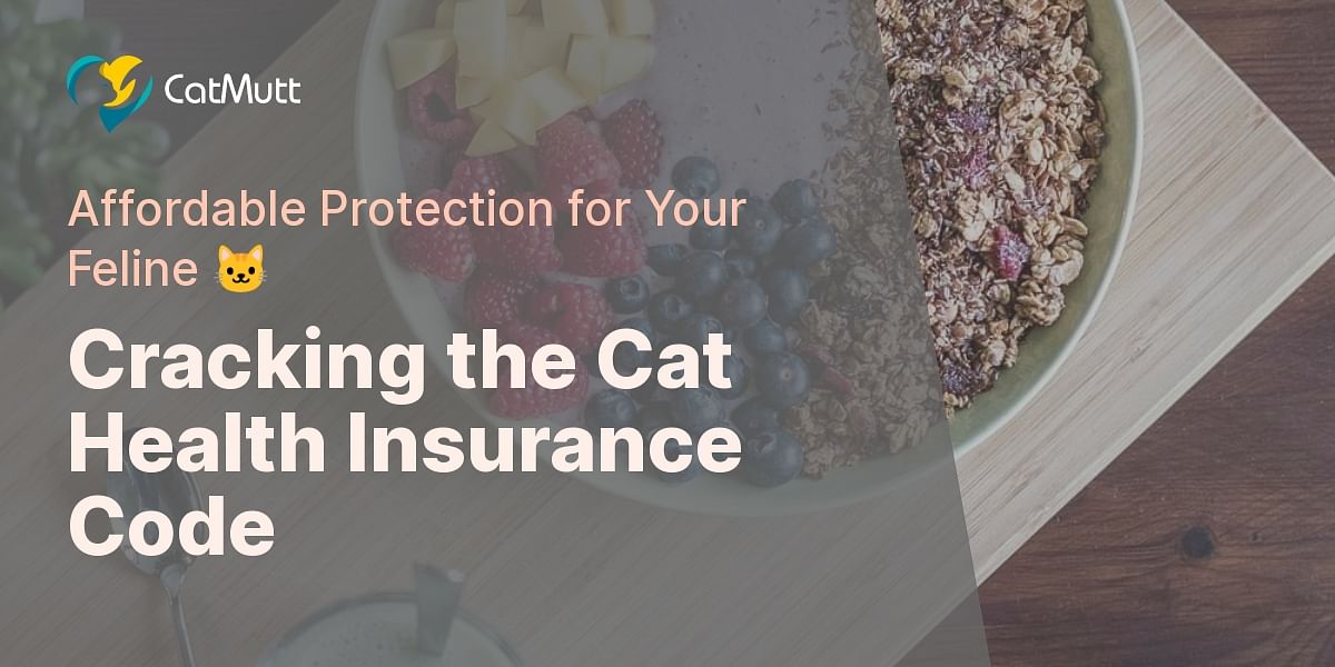 Understanding the Cost of Cat Health Insurance Cat Mutt