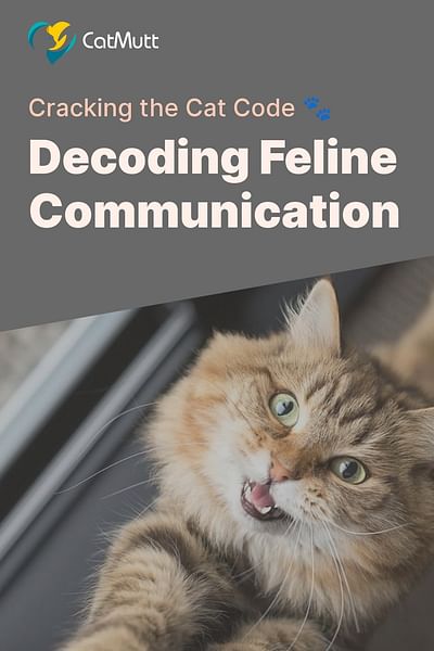 Decoding Feline Communication - Cracking the Cat Code 🐾