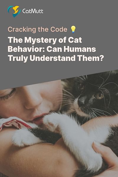 The Mystery of Cat Behavior: Can Humans Truly Understand Them? - Cracking the Code 💡