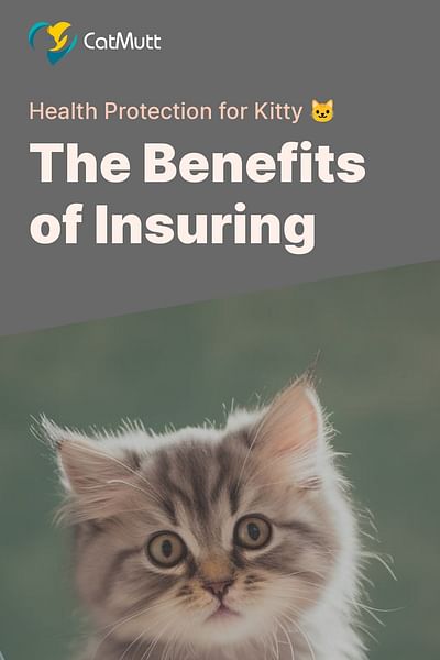 The Benefits of Insuring - Health Protection for Kitty 🐱