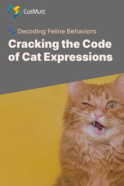 Cracking the Code of Cat Expressions - 🐾 Decoding Feline Behaviors