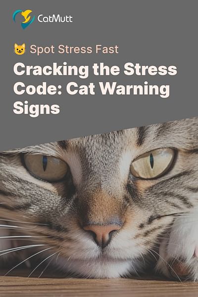 Cracking the Stress Code: Cat Warning Signs - 😺 Spot Stress Fast