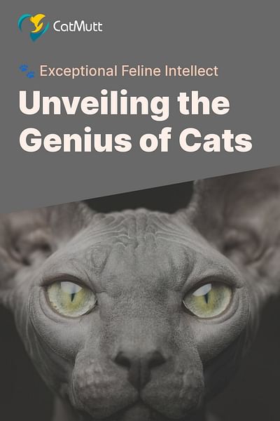 Unveiling the Genius of Cats - 🐾 Exceptional Feline Intellect