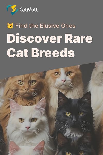 Discover Rare Cat Breeds - 🐱 Find the Elusive Ones