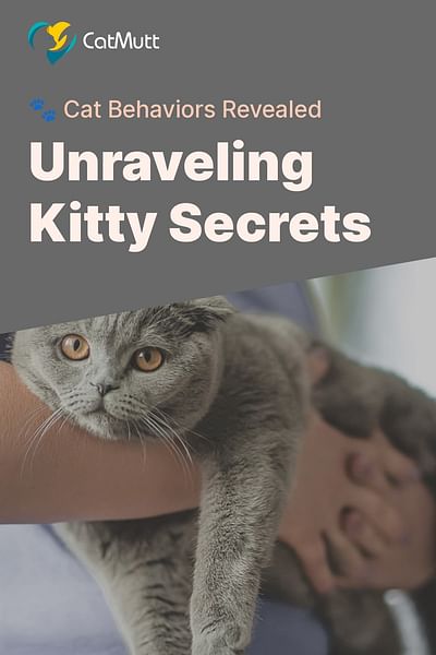 Unraveling Kitty Secrets - 🐾 Cat Behaviors Revealed