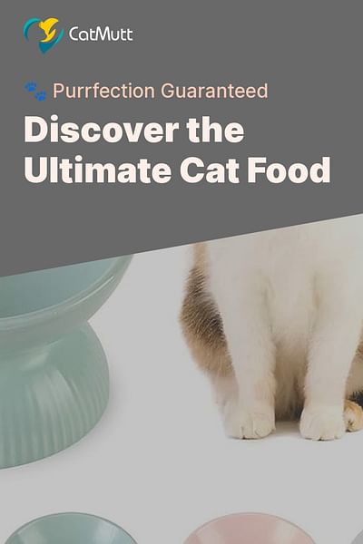 Discover the Ultimate Cat Food - 🐾 Purrfection Guaranteed