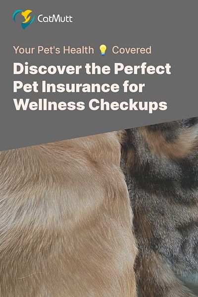 Discover the Perfect Pet Insurance for Wellness Checkups - Your Pet's Health 💡 Covered