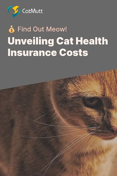 Unveiling Cat Health Insurance Costs - 💰 Find Out Meow!