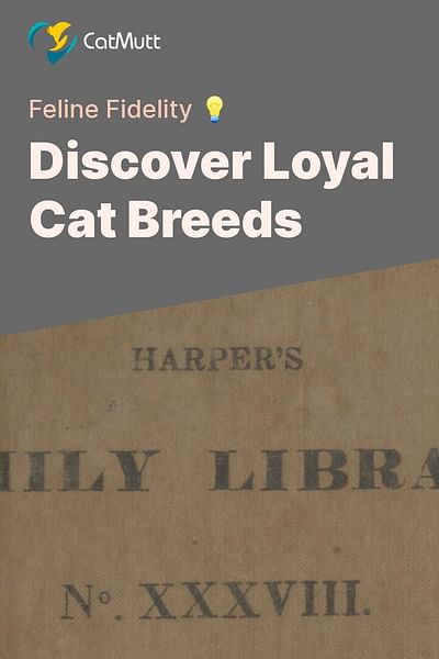 Discover Loyal Cat Breeds - Feline Fidelity 💡