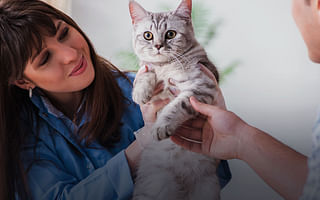 Is Vetco a Suitable Choice for My Cat's Check Up?